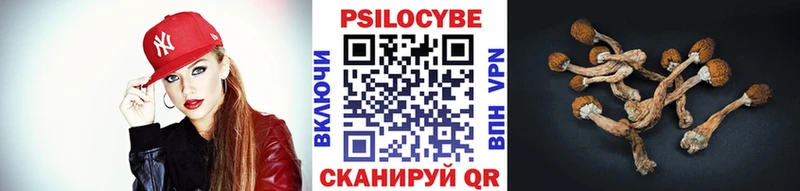Псилоцибиновые грибы Cubensis наркошоп Нерюнгри