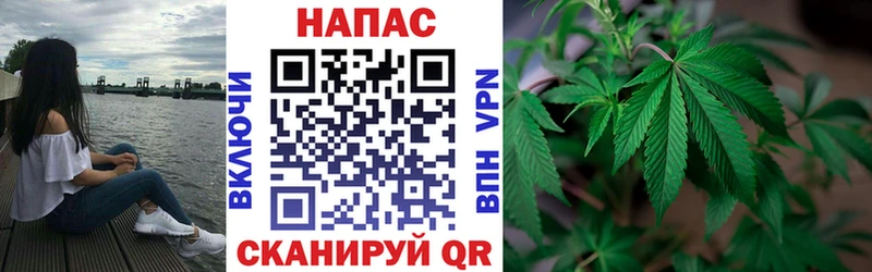 Конопля семена  Нерюнгри 